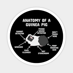 Anatomy of a Guinea Pig: Black and White Abyssinian (White Text) Magnet